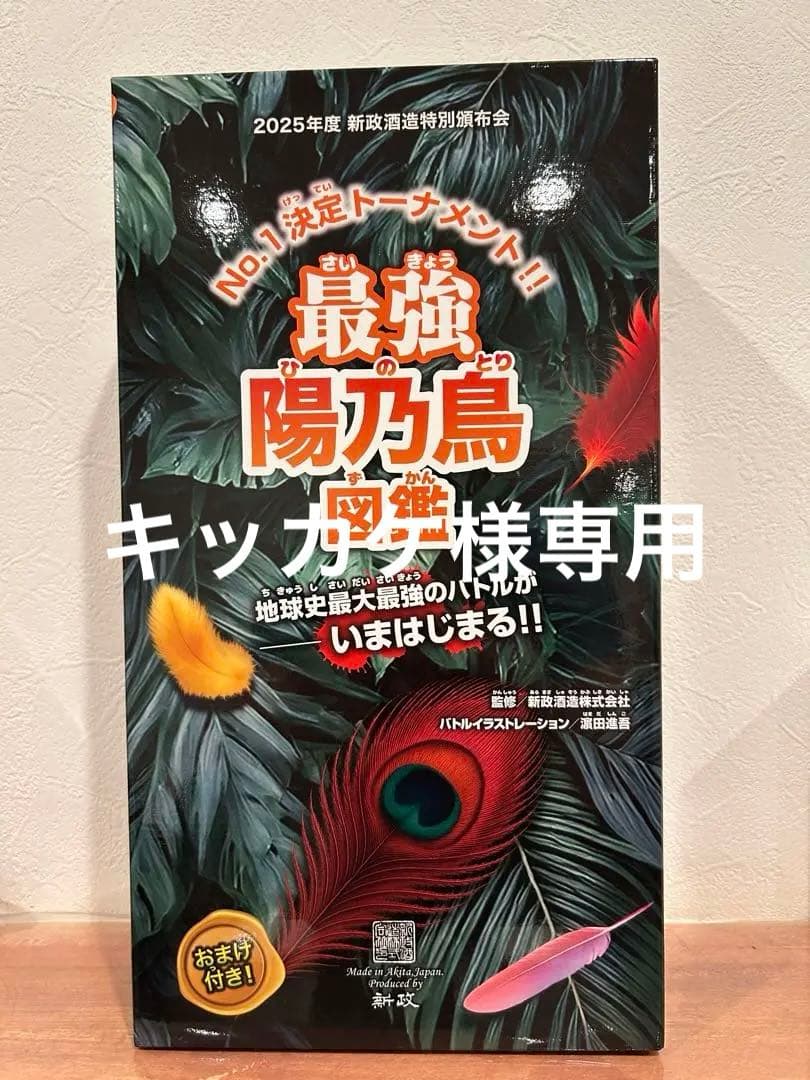 新政頒布会　2025陽乃鳥