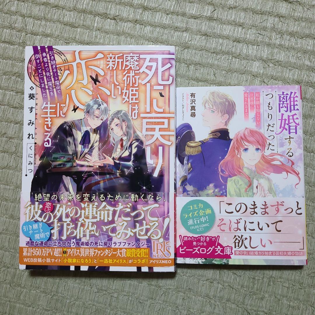獣欲な副社長はツレない秘書を捕まえたい。
