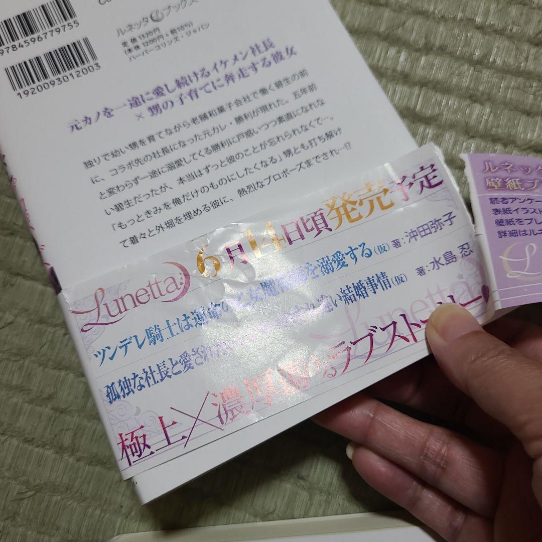 獣欲な副社長はツレない秘書を捕まえたい。
