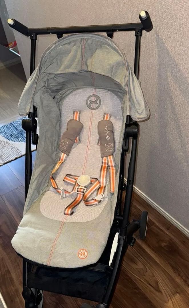 サイベックス　リベル　グレー　2023年購入