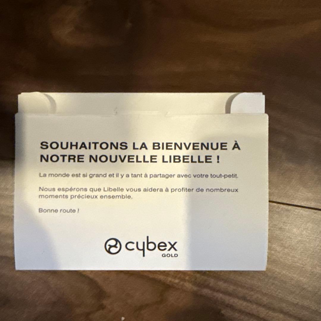 サイベックス　リベル　グレー　2023年購入