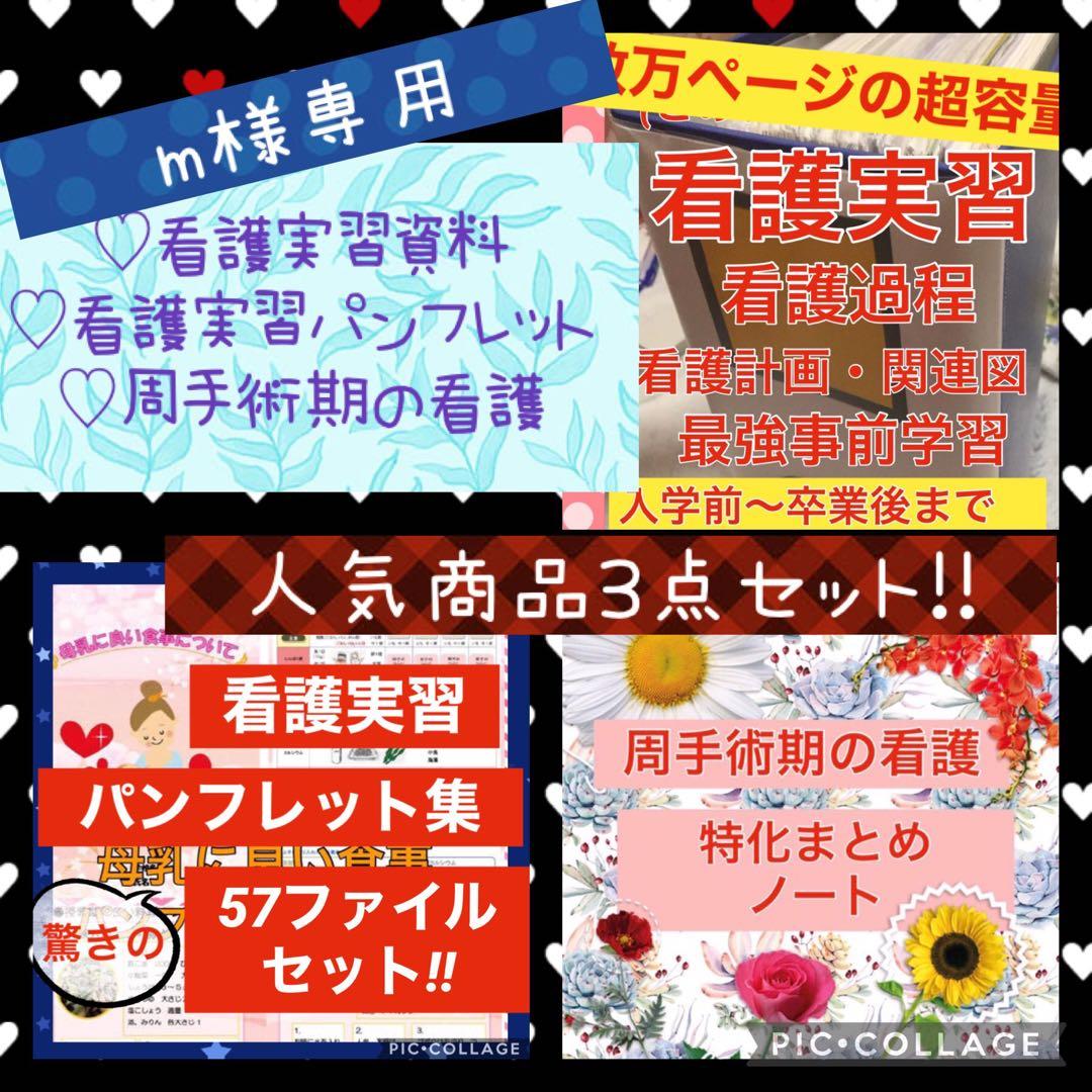 m様 看護学生 看護実習 手順書 関連図 計画 看護学校 アセスメント 国家試験