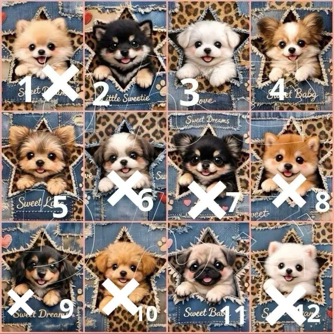 リクエストパネル １６センチファスナーポーチのみ