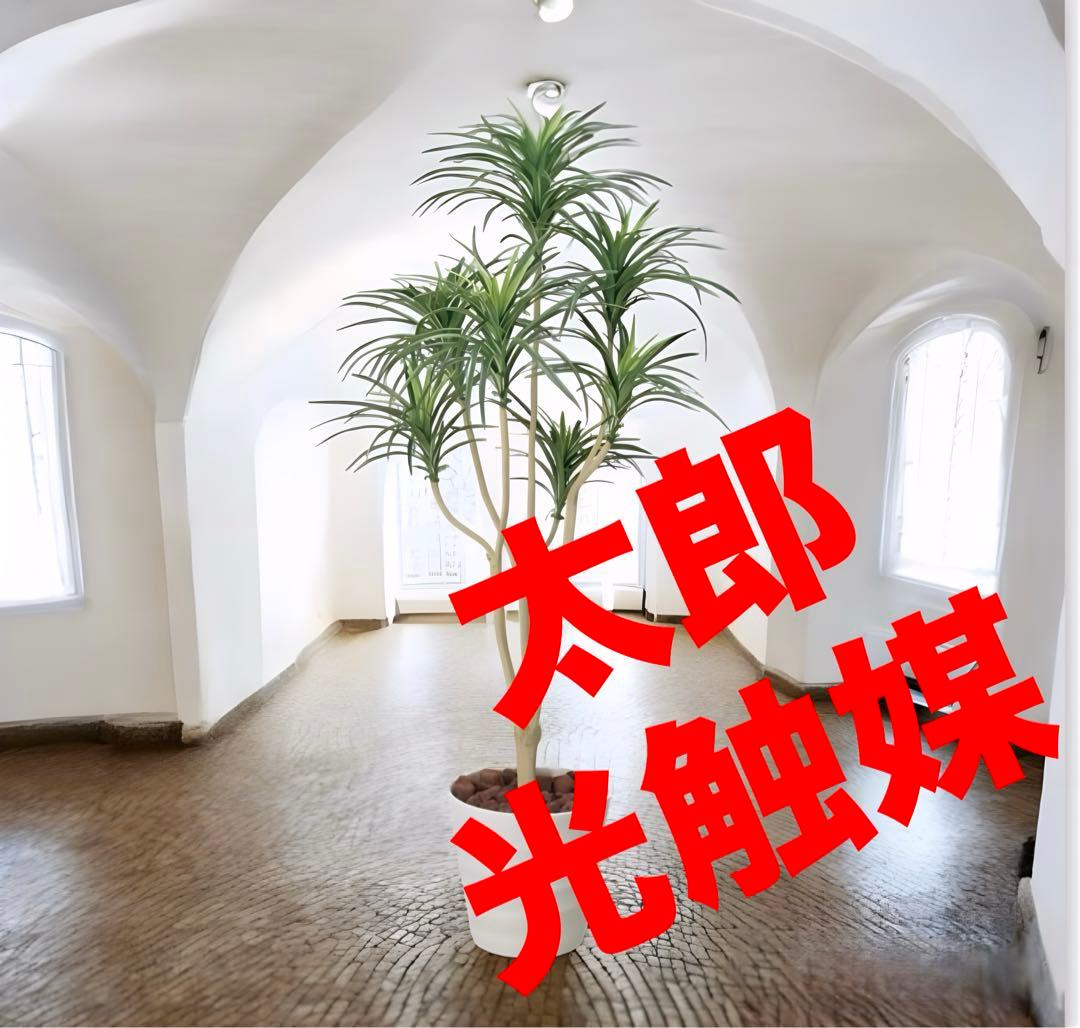 光触媒　人工観葉植物　ウォールグリーン　フェイクグリーン　ユッカ 高さ 1.6ｍ