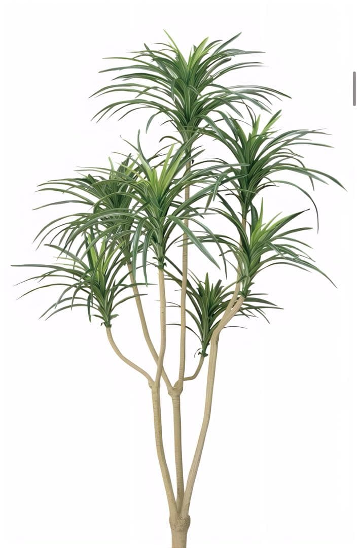 光触媒　人工観葉植物　ウォールグリーン　フェイクグリーン　ユッカ 高さ 1.6ｍ