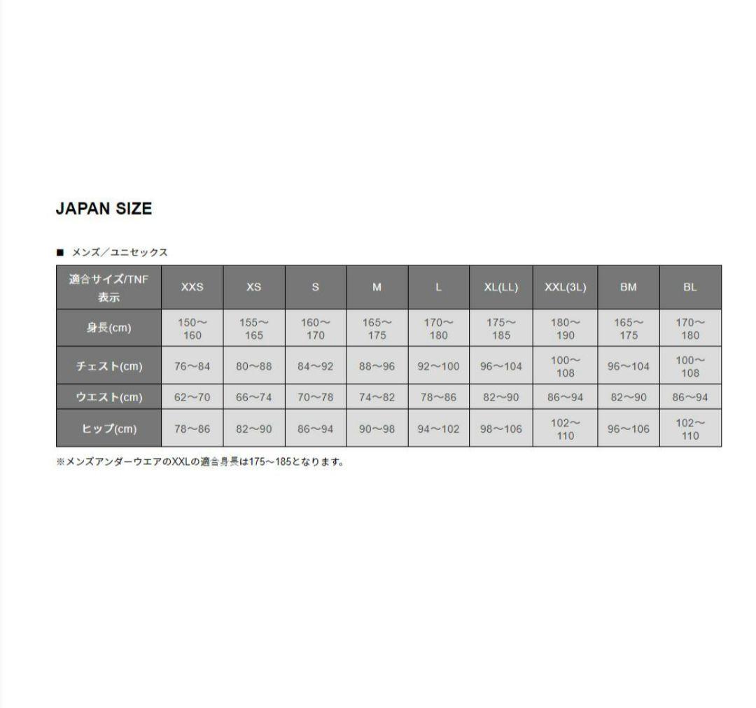 【タグ付き✨NORTH FACE✨XL】スキー スノー スノボ ビブパンツ