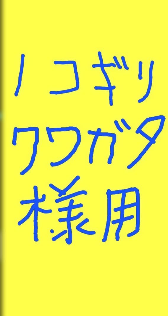 中国製NANGA 45 寝袋ＳＴＤ ショートサイズ