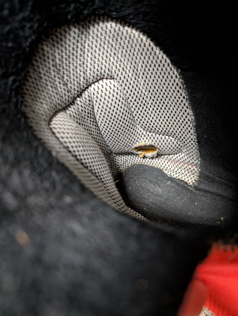 DEELUXE track700 アルペンブーツ INTECワイヤー付