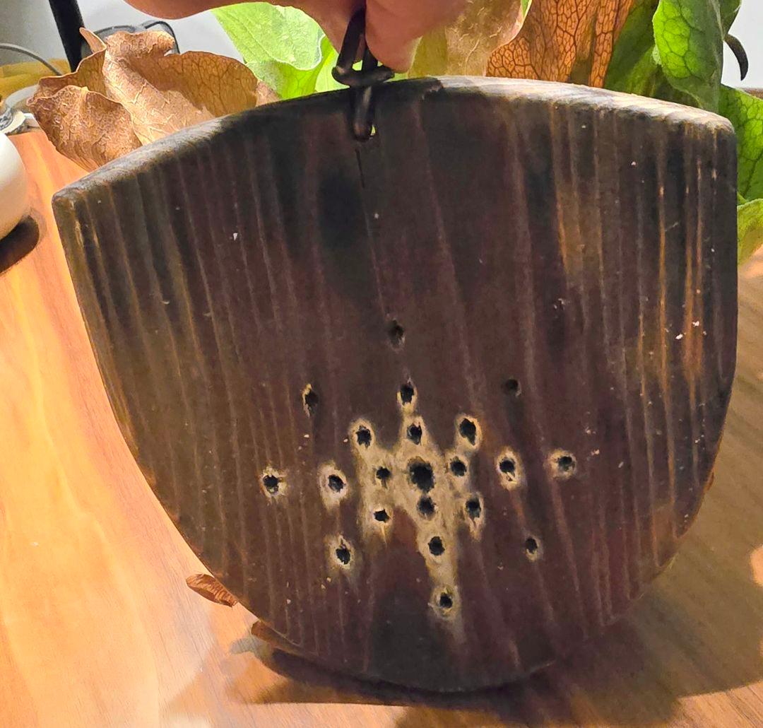 ビカクシダ　ステマリア　板付