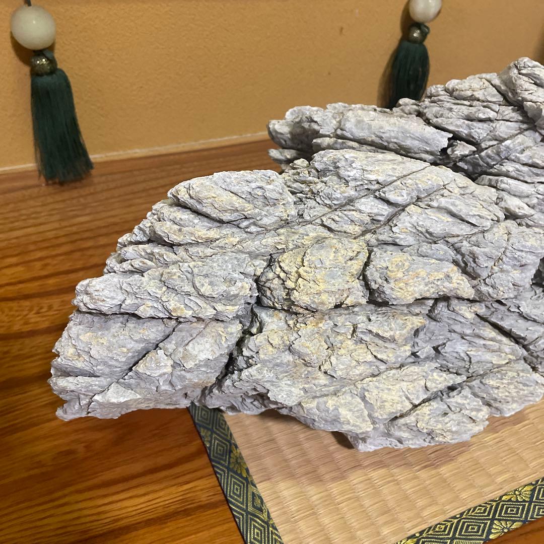 亀文石 水石 鑑賞石 庭石 アクアリウム【特大】