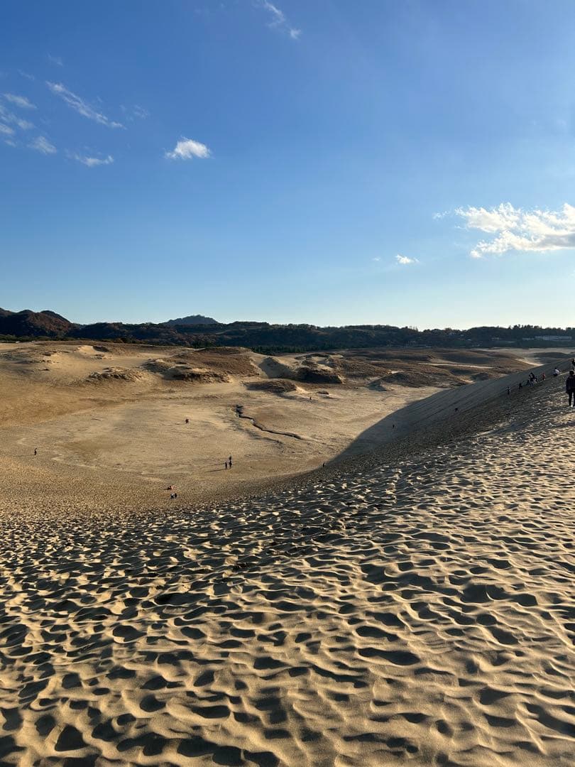 mt　Hender scheme long wallet black