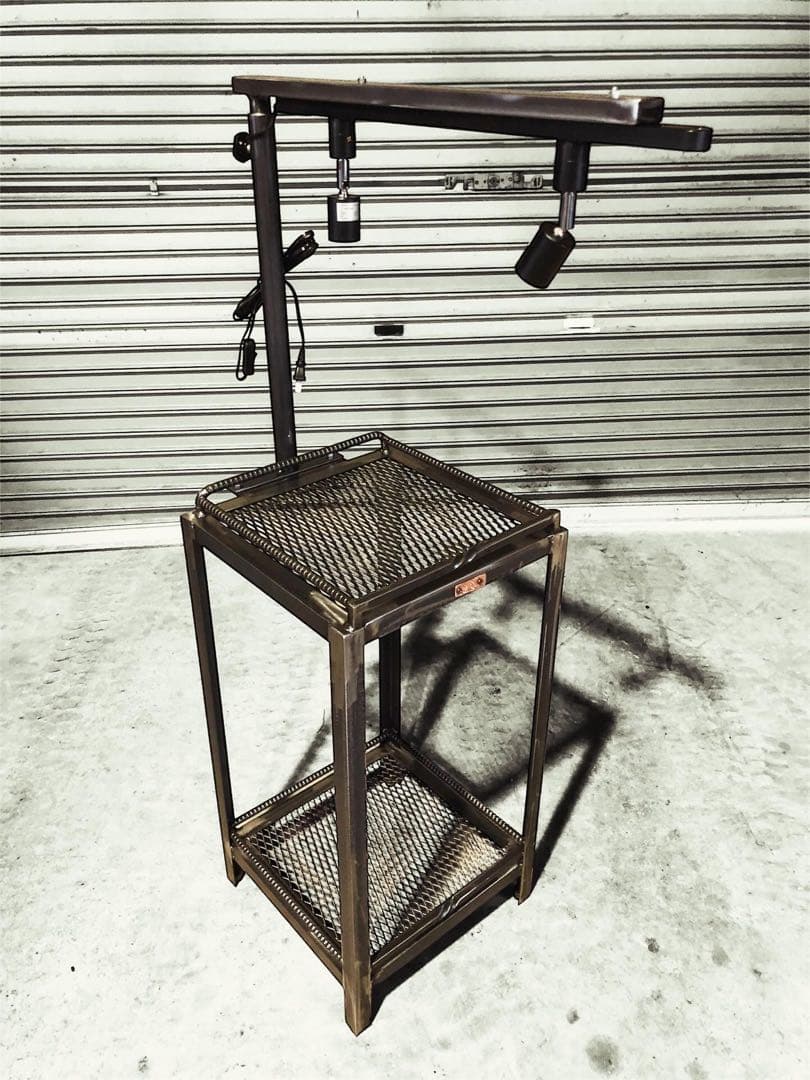 魅せる　アガベ育成棚