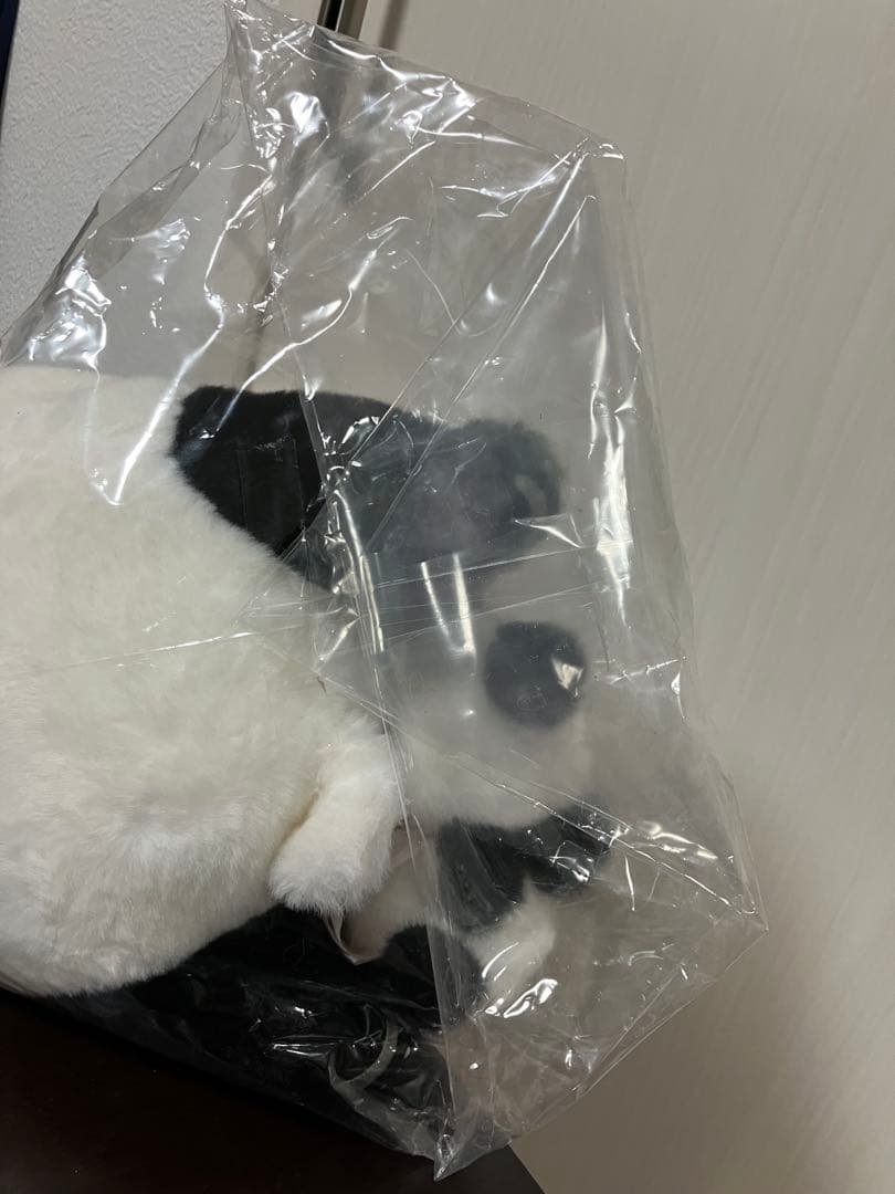 真真　暁暁　蕾蕾　シンシン　シャオシャオ　レイレイ　上野動物園パンダ　ぬいぐるみ