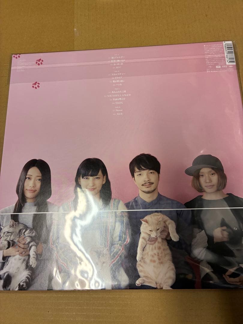 きのこ帝国 猫とアレルギー 限定盤クリアピンクヴァイナル仕様 レコード新品未開封