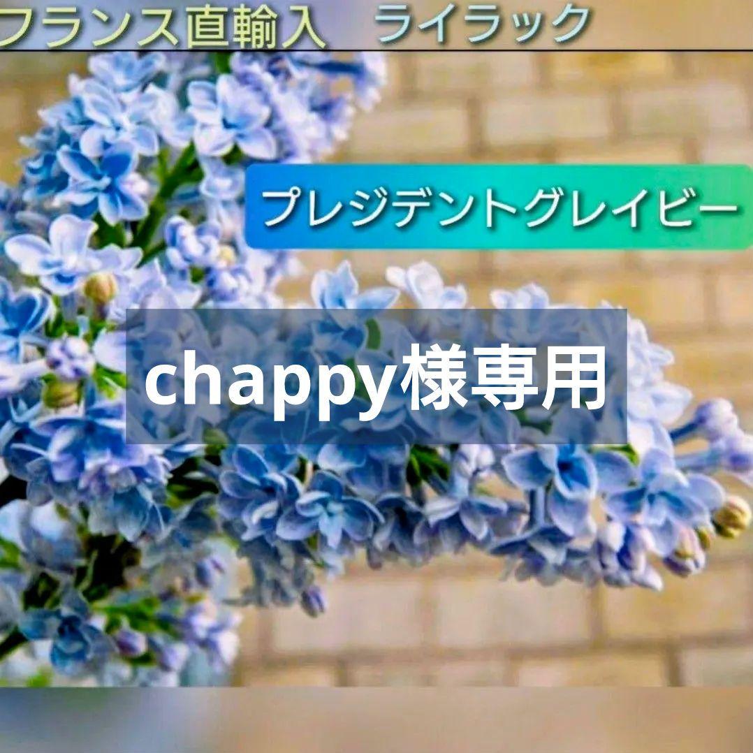 chappy【フランス直送】ライラック『プレジデントグレイビー』1苗！