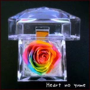 プリザーブドフラワーレインボーローズジュエリー