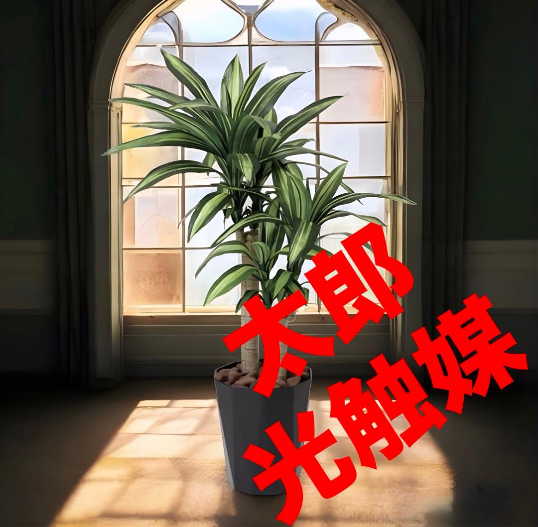 光触媒　人工観葉植物　フェイクグリーン　マッサン　幸福の木 高さ 1.1m