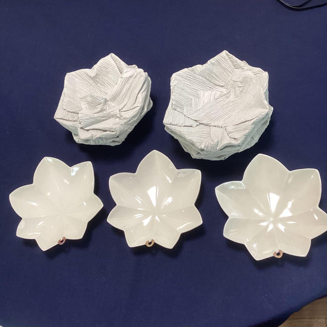 割烹食器　作家　窯元　色々食器　和食店　　　白釉紅葉向付9客　新品未使用