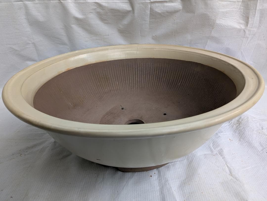 大型 盆栽鉢 丸鉢 外径49cm 高さ19cm 無刻印 白系 ヒビあり 現状品