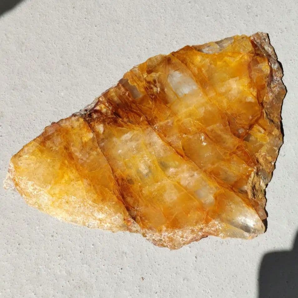 ゴールデンヒーラー　プレート　大