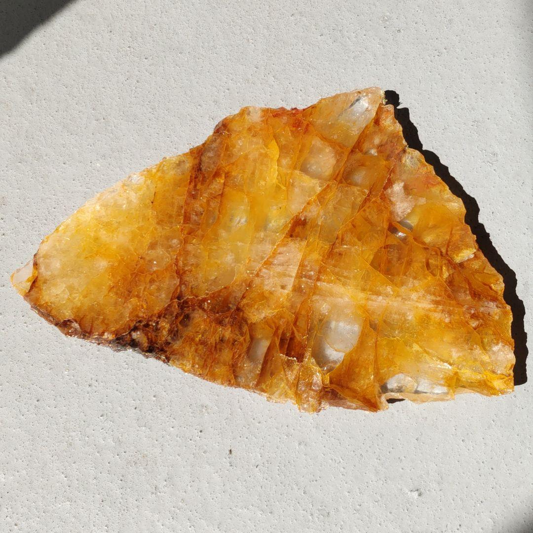 ゴールデンヒーラー　プレート　大