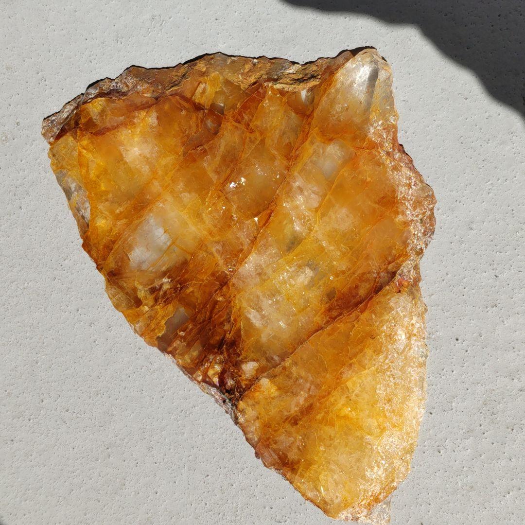 ゴールデンヒーラー　プレート　大