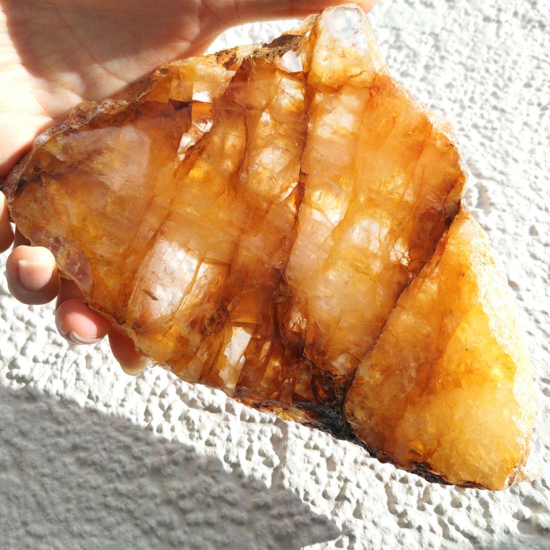 ゴールデンヒーラー　プレート　大