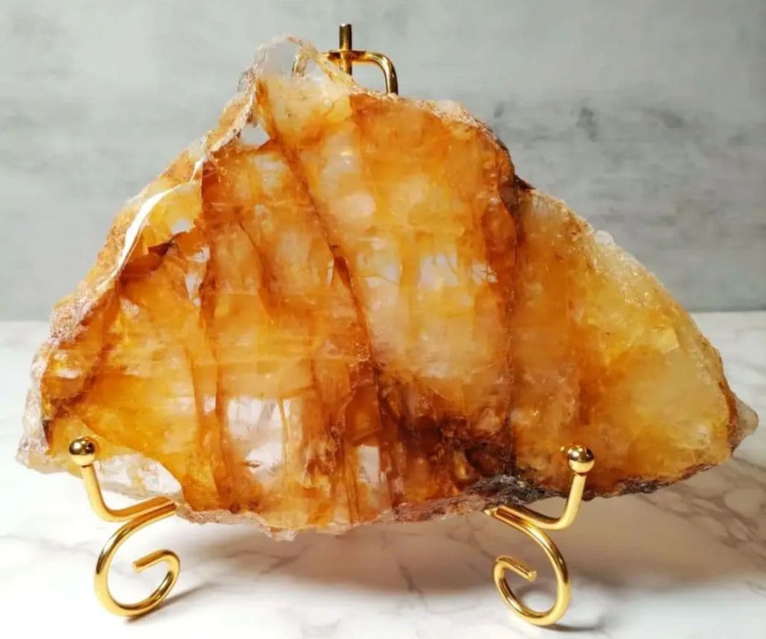 ゴールデンヒーラー　プレート　大