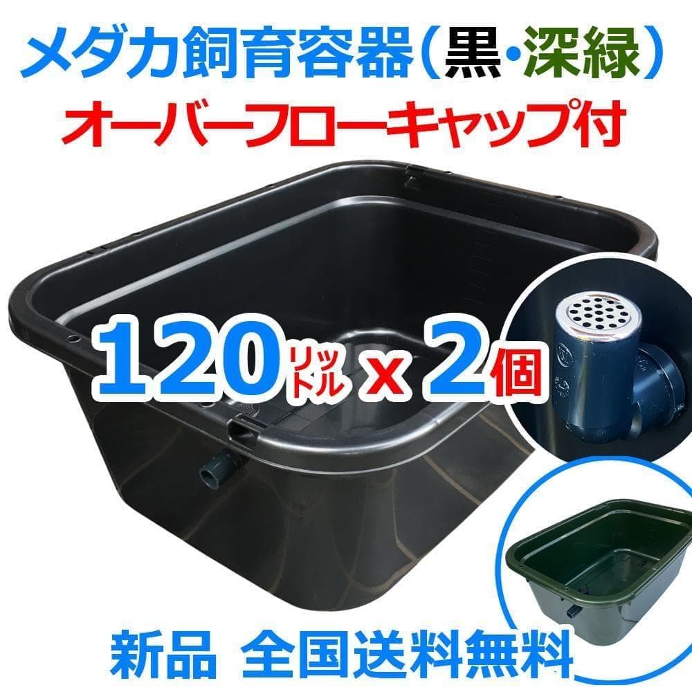 メダカ飼育ケース 120㍑x2個 黒・濃緑あり オーバーフロー 金魚飼育容器