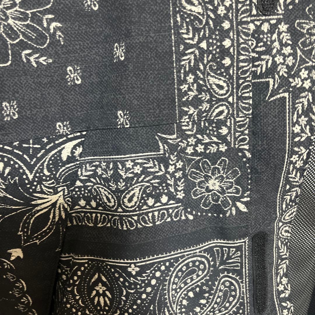 【値下げ】The North Face ペイズリー柄　スクープジャケット