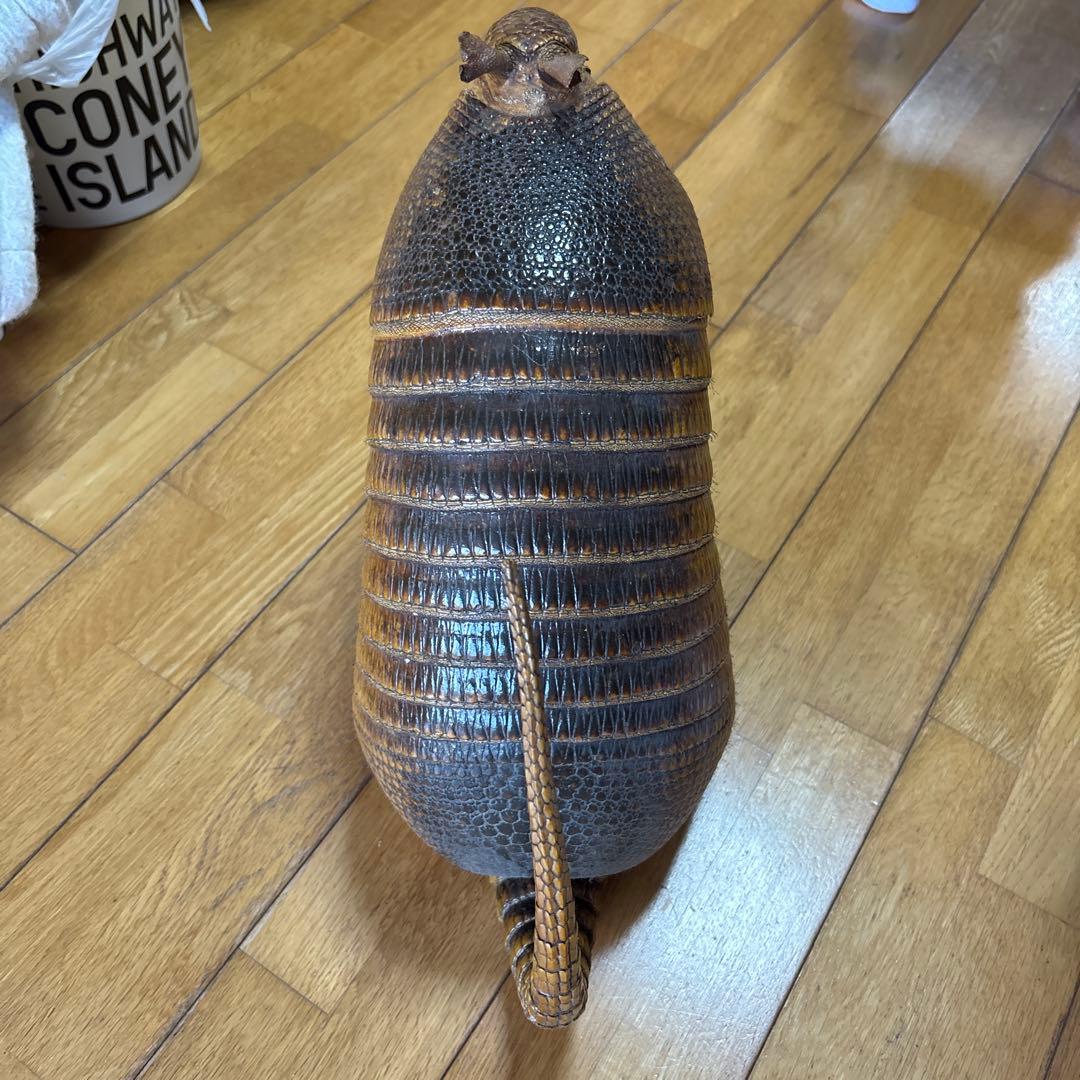 アルマジロ剥製
