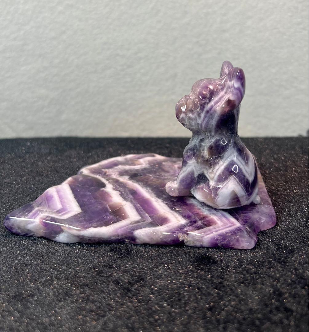 ケープアメジスト　　　　　　　　　　　　　ワンちゃんとプレートのセット