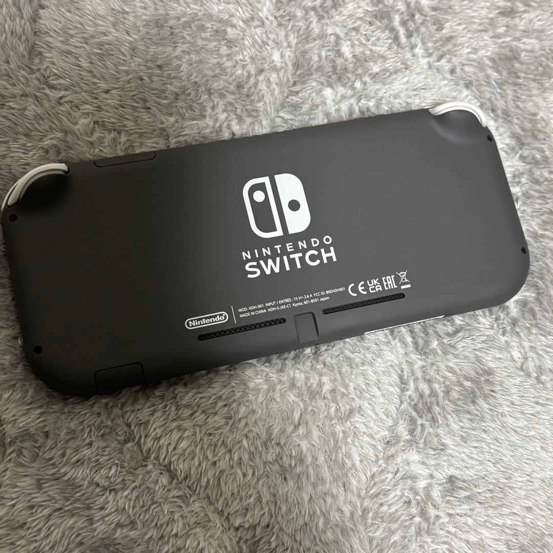 Nintendo Switch Lite グレー 本体&ケース