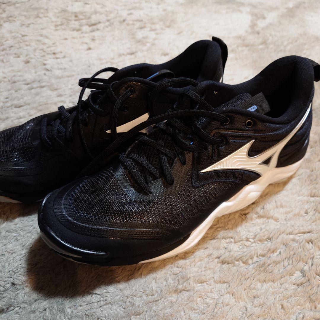 ミズノ　ウエーブモーメンタム エリート28.5㎝