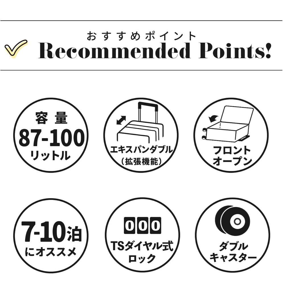 【新品未使用】ace スーツケース エスカレラ 87リットル / 100リットル