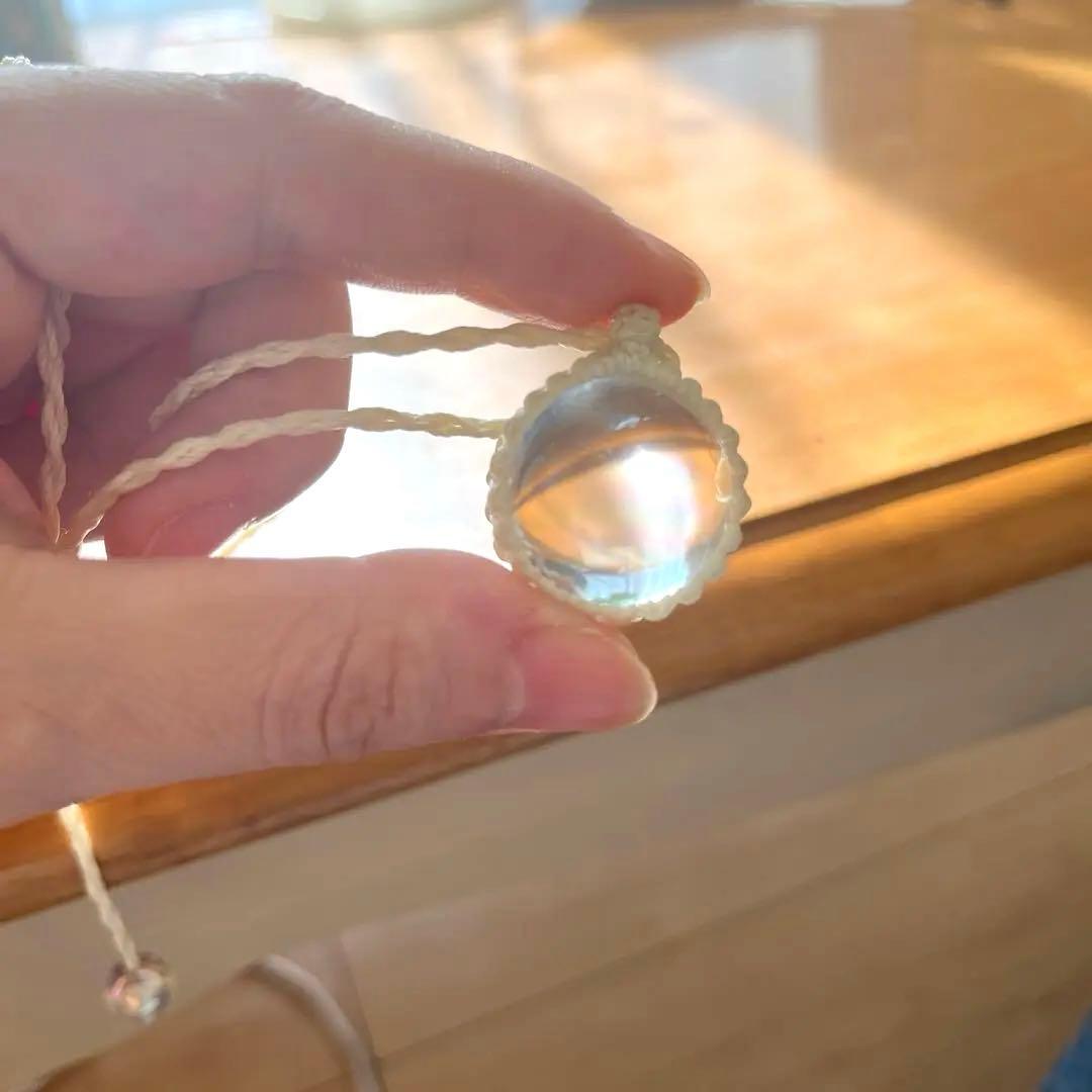 虹入りアイリス