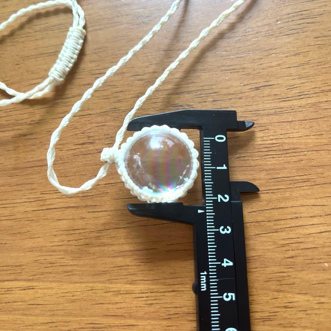 虹入りアイリス