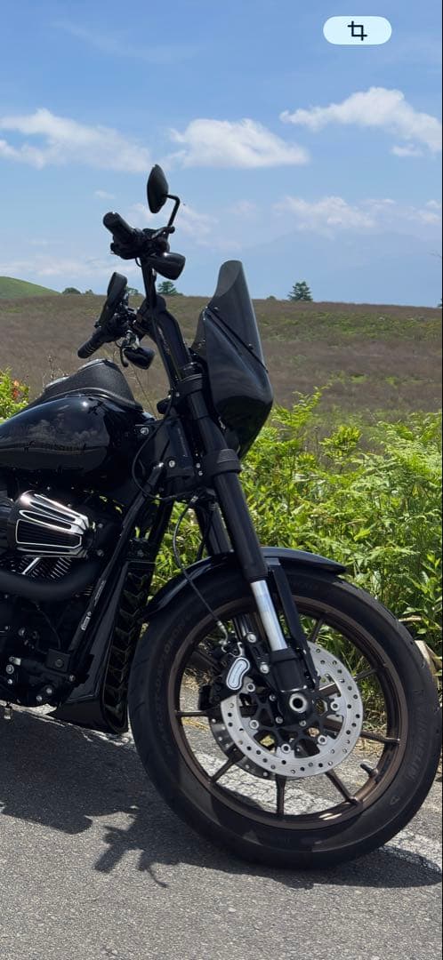 ハーレー純正フェアリング➕DENTONシェードとハンドガード　クラブスタイル