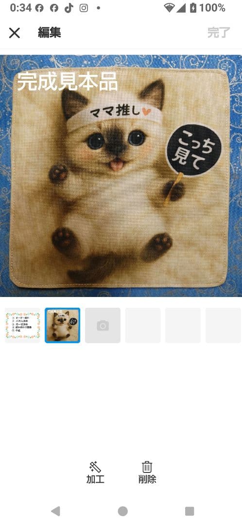 ご確認用　ファン子　ねこちゃん柄　ハンカチ　1/13