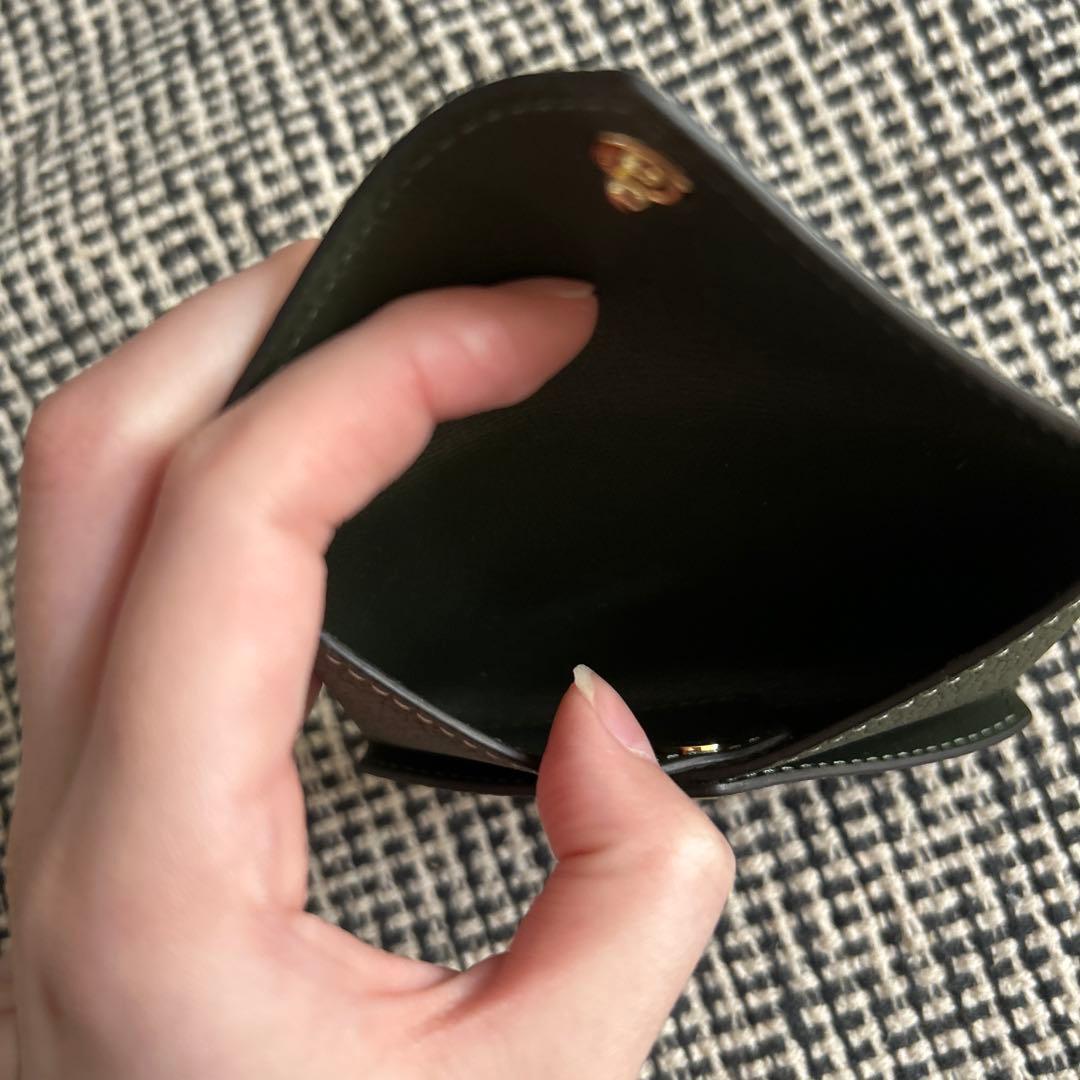 ボナペンチュラBonaventura グリーンレザーケース 限定品