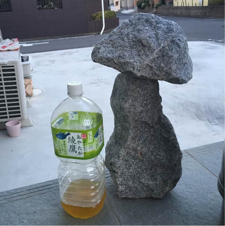キノコの石