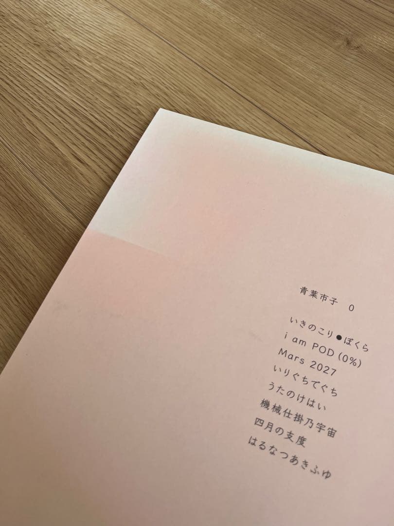 青葉市子レコード　qp アダンの風　からかひとあまねき　初期4作　NUUAMM