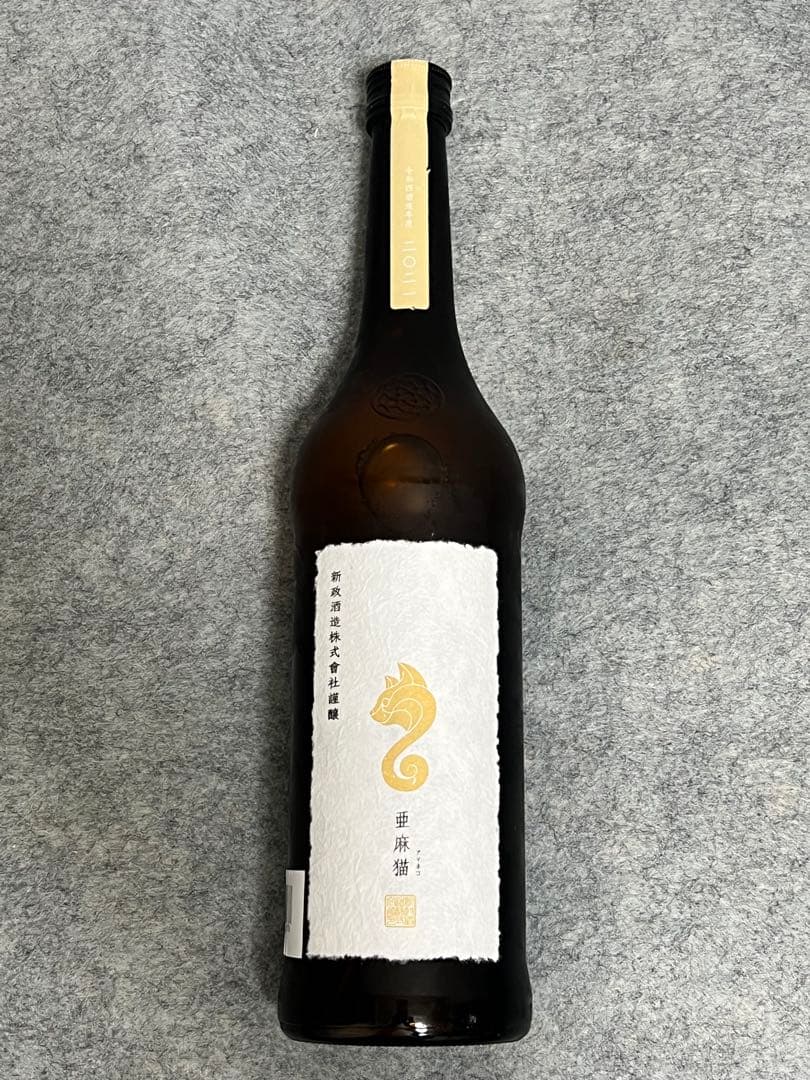 新政　亜麻猫　アッシュ　2024