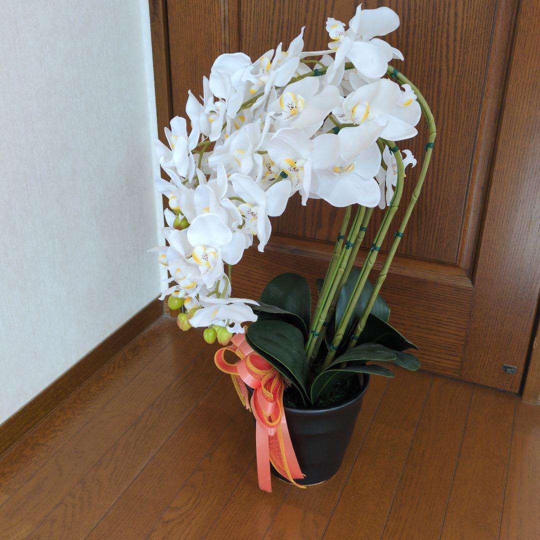 ホワイト 5本立て胡蝶蘭造花 多花性鉢花 リボン付き