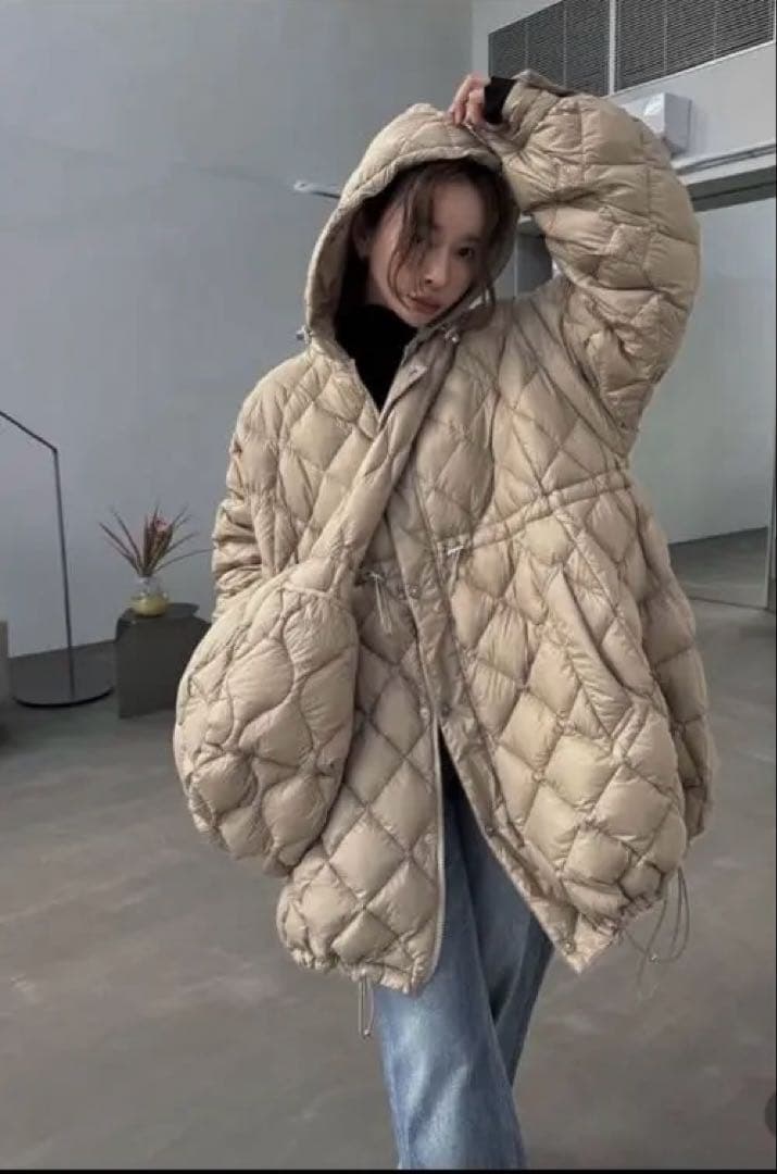 TAION x WILLFULLY down coat s size ベージュ