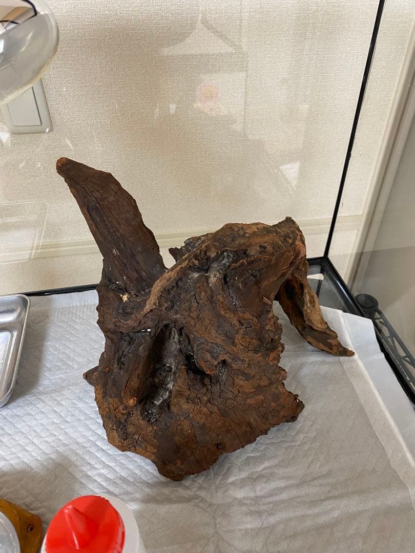 エキゾテラ6045 東広島市　とまさん専用