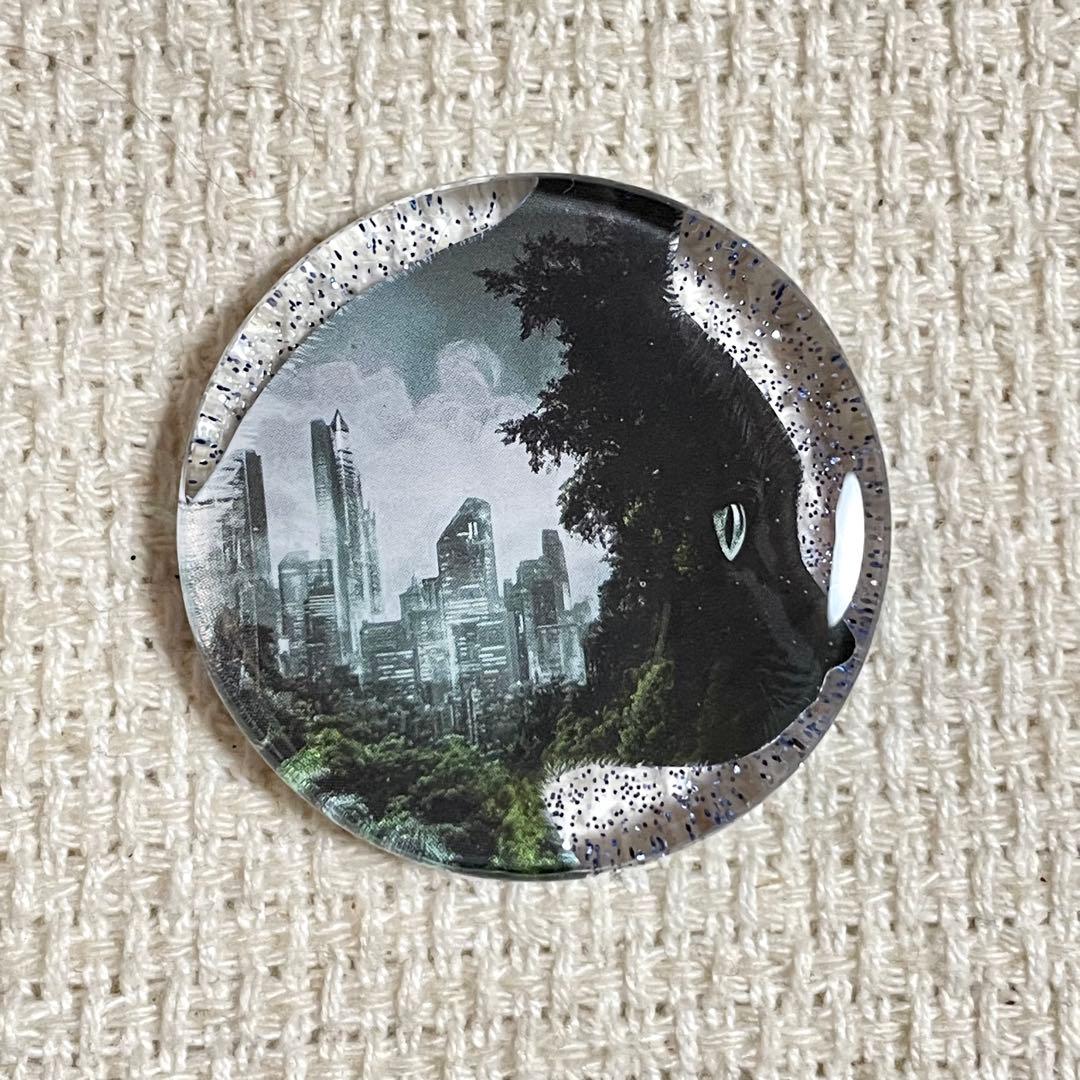 2492. 【大】レジンポニーフック・ヘアゴム・ブローチ