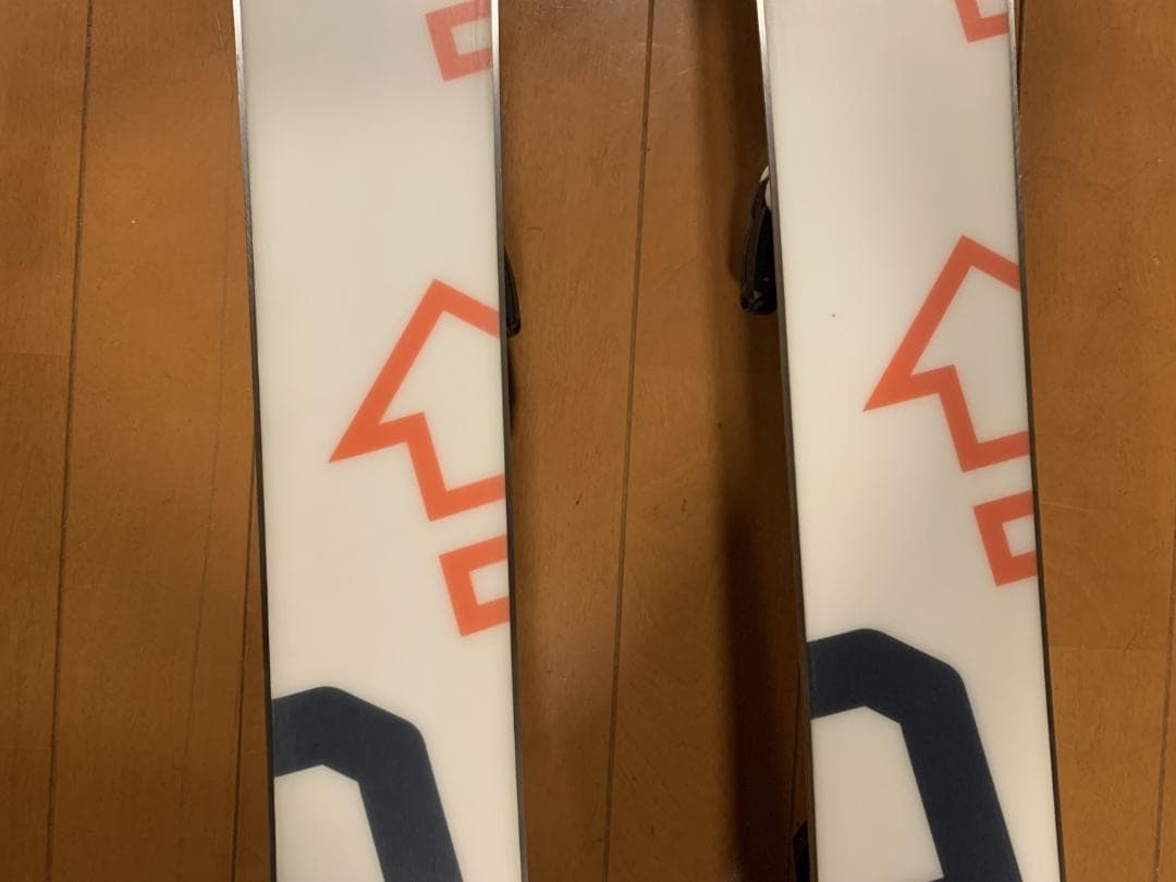 SALOMON AXESS スキー板・板用バッグセット