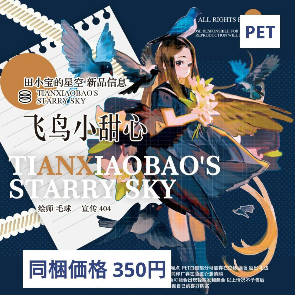 ✩残１✩J825＃飞鸟小甜心(PET)田小宝的星空切り売り海外人物マステ女の子