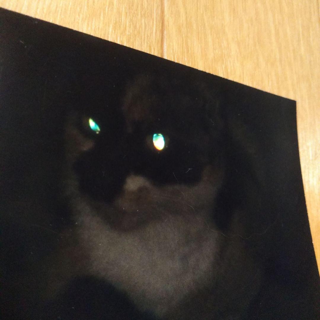 確認画面【幸運】岩手県　緑風荘　写真11枚セット